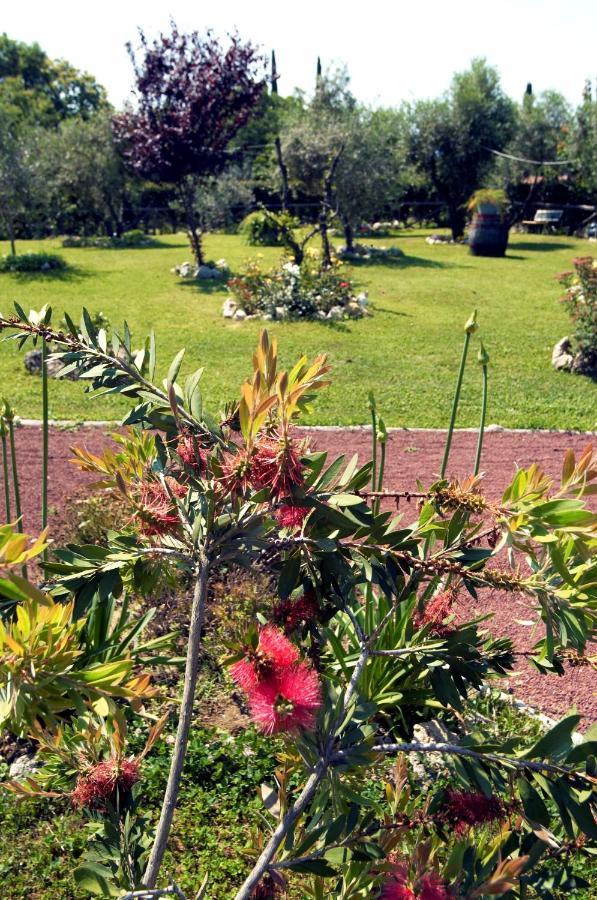 Il Covo Dei Briganti Otel Latera Dış mekan fotoğraf
